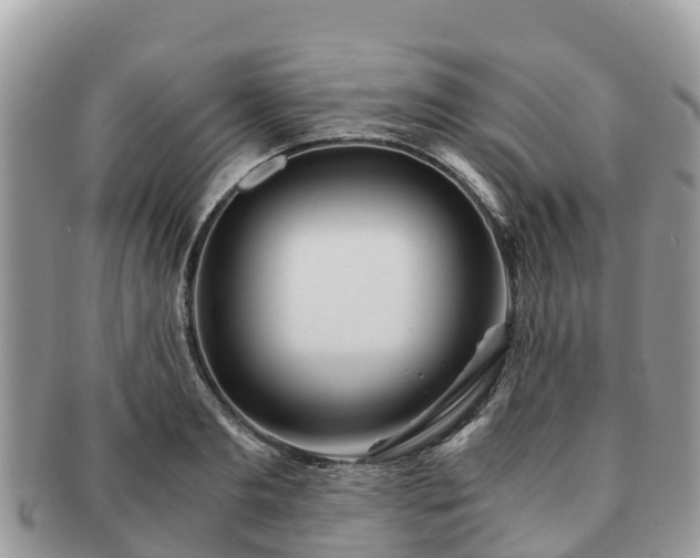 X0000091180893200708161516