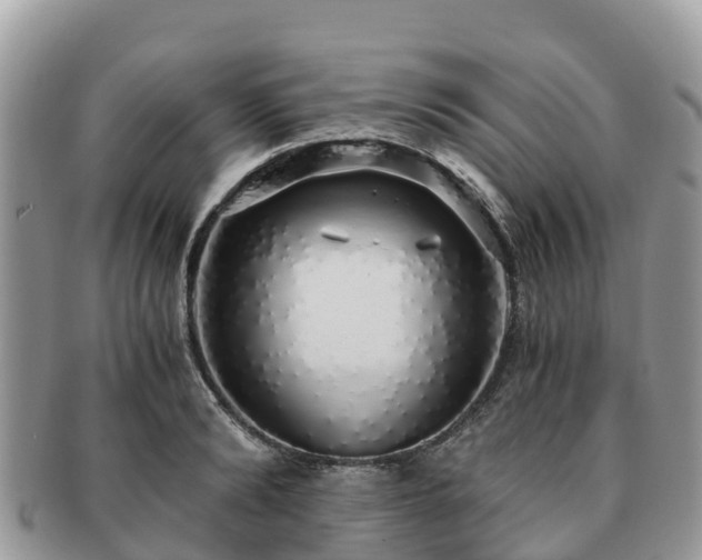 X0000091180894200708161516