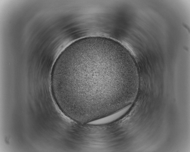 X0000091180895200708161516