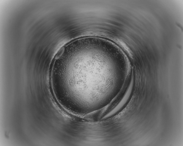 X0000091180896200708161516