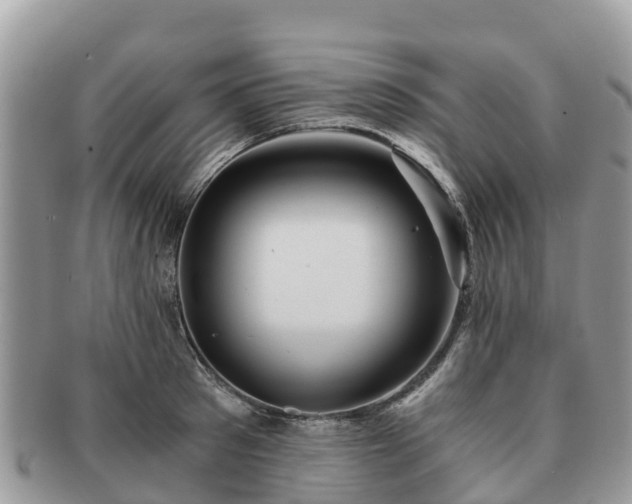 X0000091180897200708161516