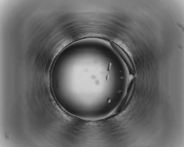 X0000091180898200708161516