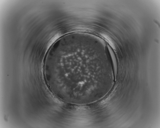 X0000091180899200708161516