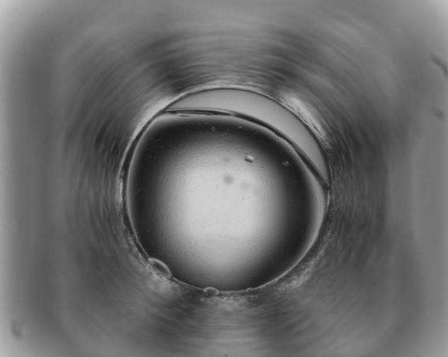 X0000091180900200708161516