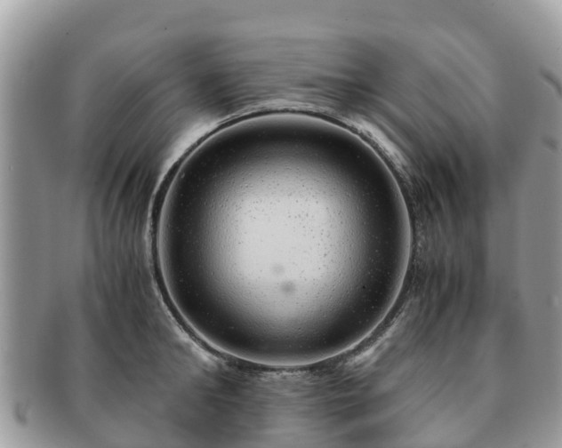 X0000091180902200708161516
