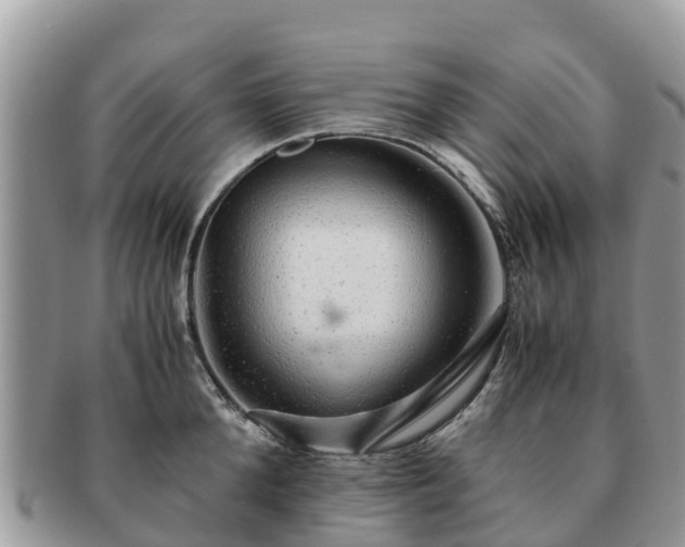 X0000091180904200708161515