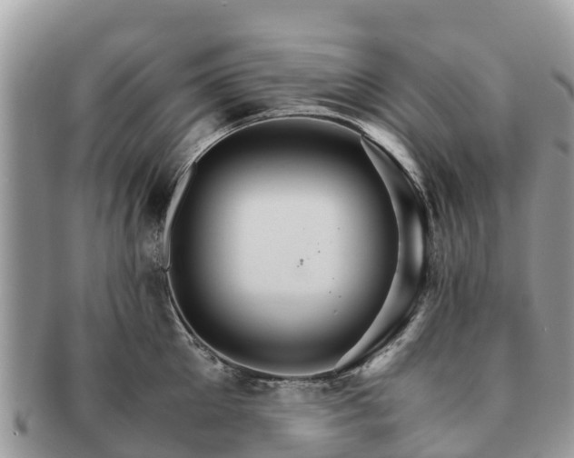 X0000091180905200708161515