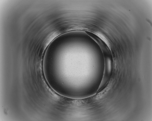 X0000091180906200708161515