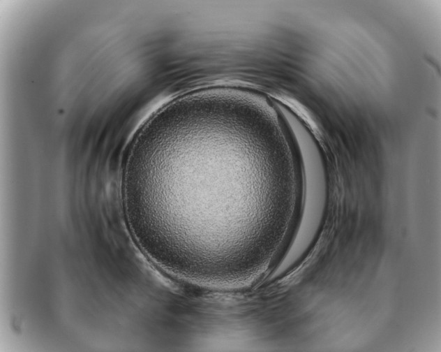X0000091180910200708161515