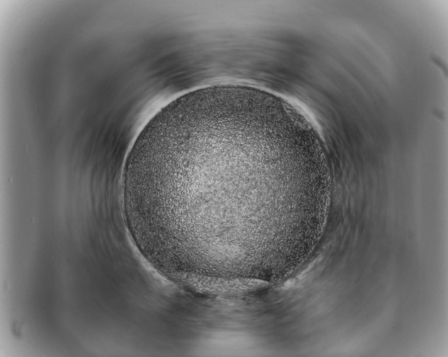 X0000091180911200708161515