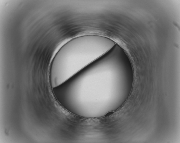 X0000091180912200708161515
