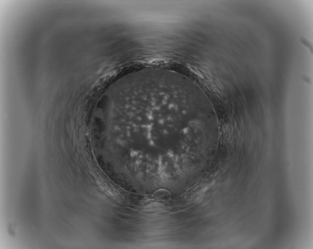 X0000091180913200708161515
