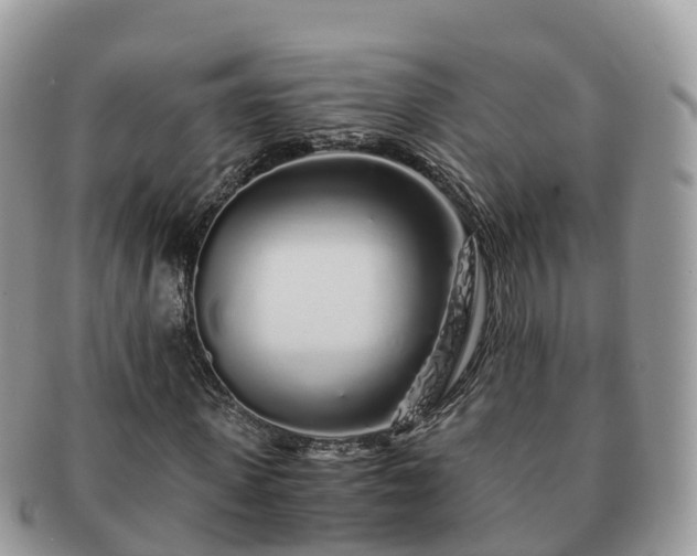X0000091180915200708161515