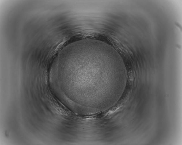X0000091180916200708161515