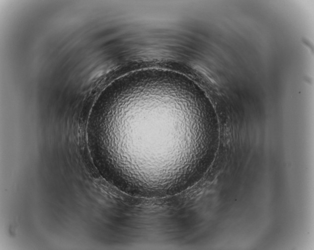 X0000091180917200708161515