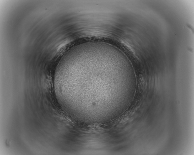X0000091180918200708161515