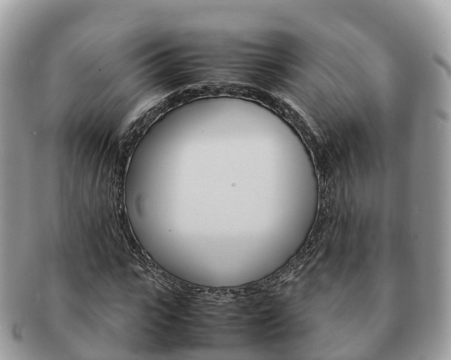 X0000091180919200708161515