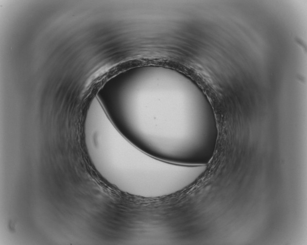 X0000091180920200708161515