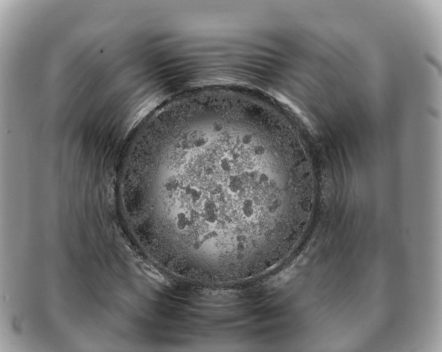 X0000091180921200708161515