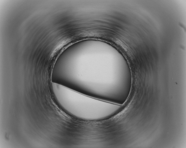 X0000091180922200708161515