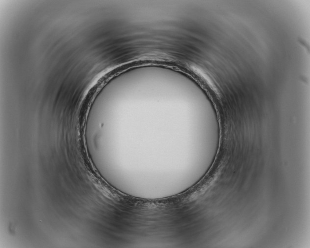 X0000091180923200708161515