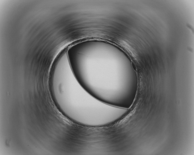 X0000091180924200708161515