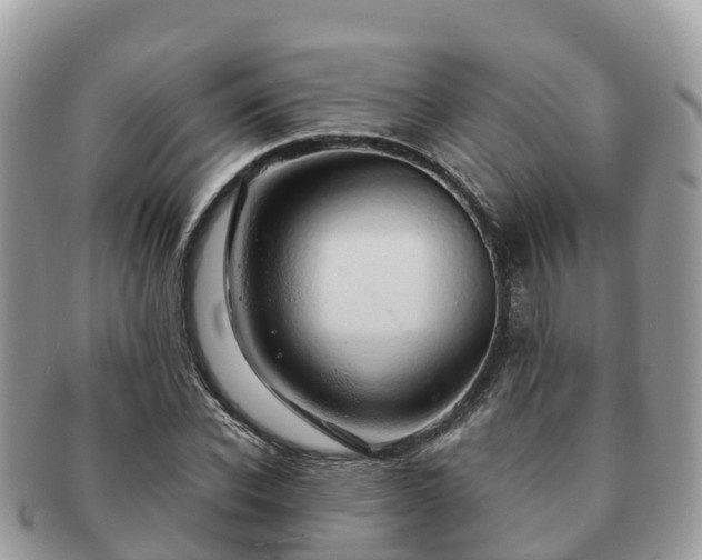 X0000091180926200708161515