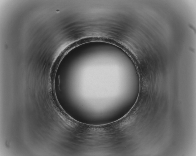 X0000091180927200708161515