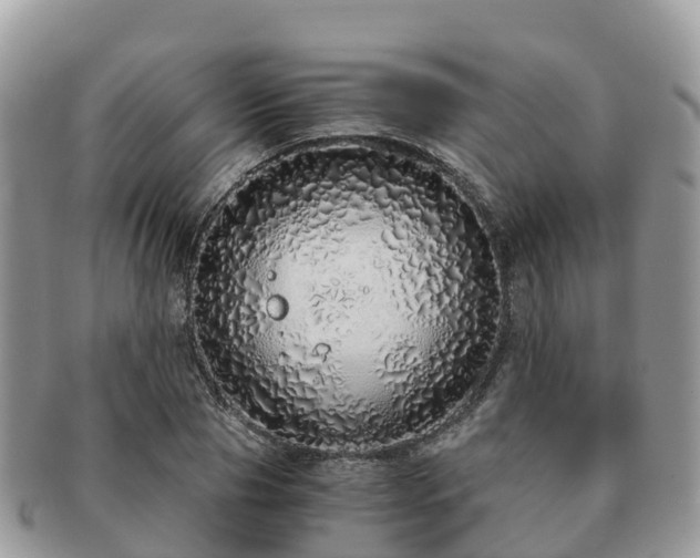 X0000091180929200708161515