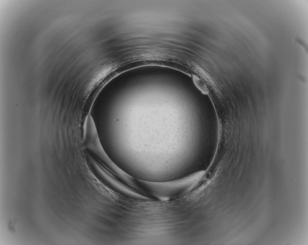 X0000091180930200708161515