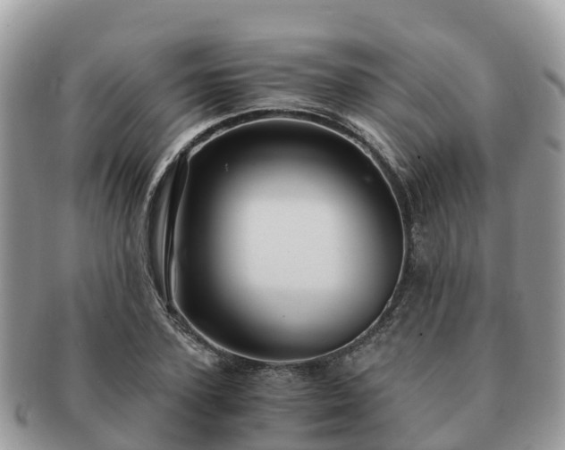 X0000091180931200708161515