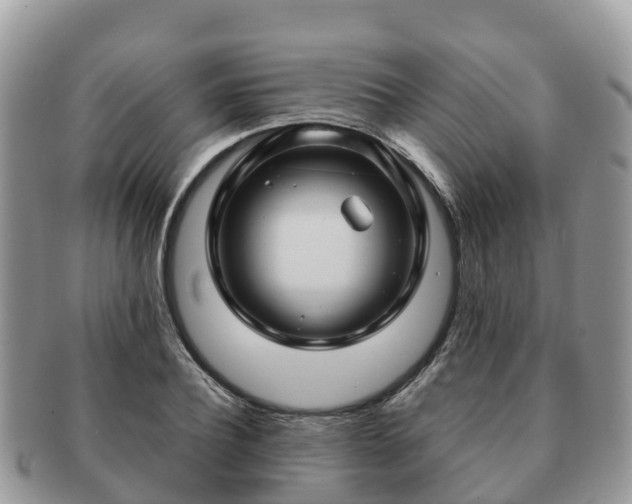 X0000091180932200708161515