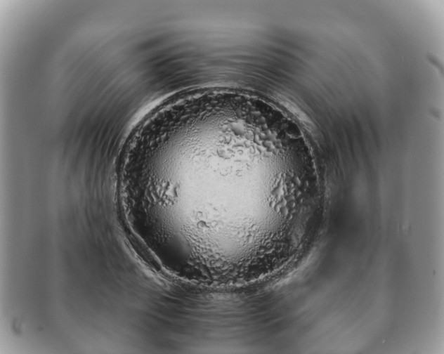 X0000091180933200708161515