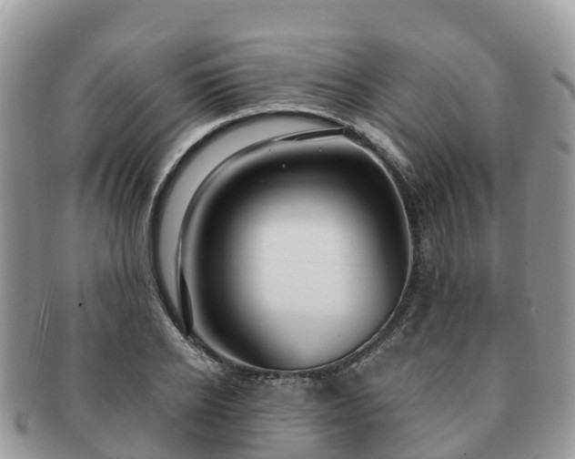 X0000091180934200708161515