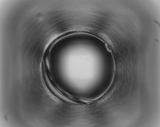 X0000091180936200708161515