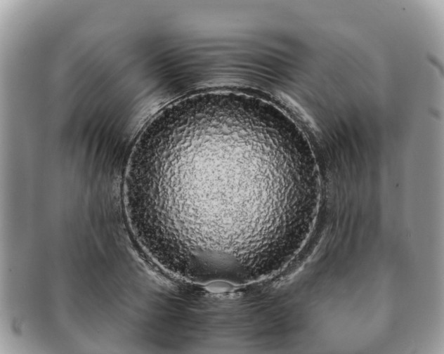 X0000091180937200708161515
