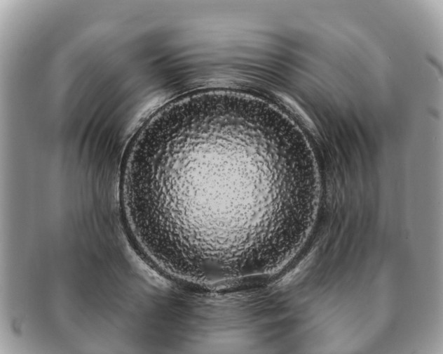 X0000091180938200708161515