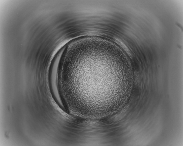 X0000091180939200708161515