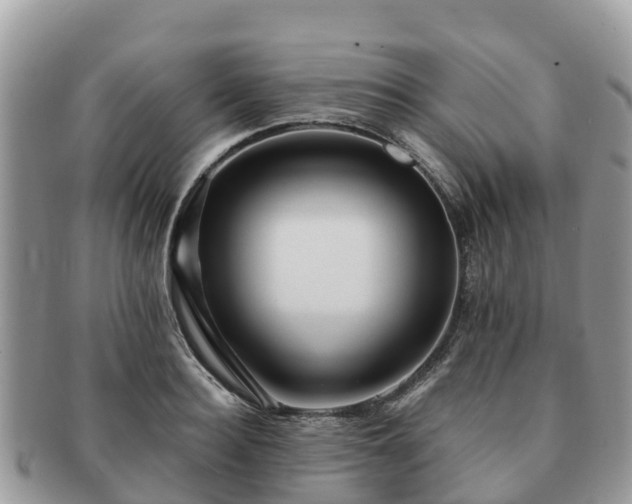 X0000091180940200708161515