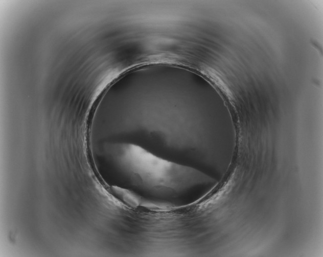 X0000091180941200708161515