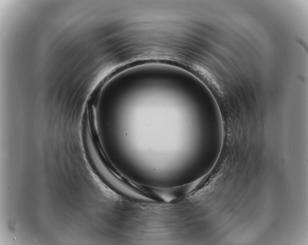 X0000091180942200708161515