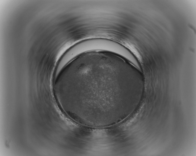 X0000091180944200708161515