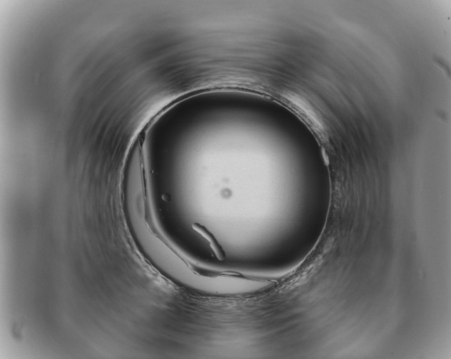 X0000091180948200708161515