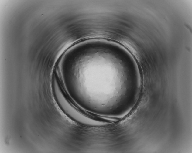 X0000091180949200708161515