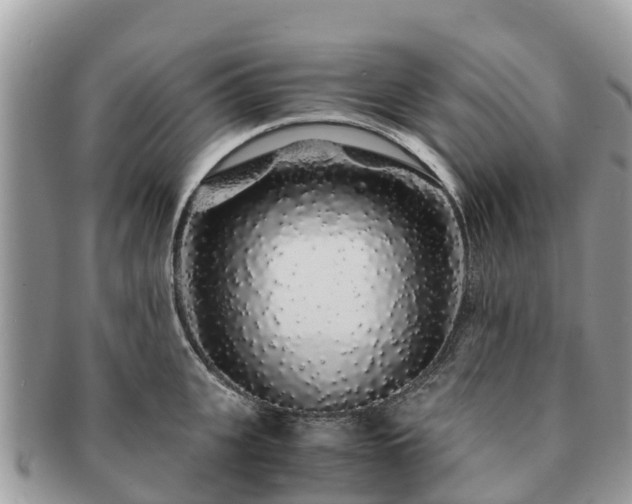 X0000091180951200708161515