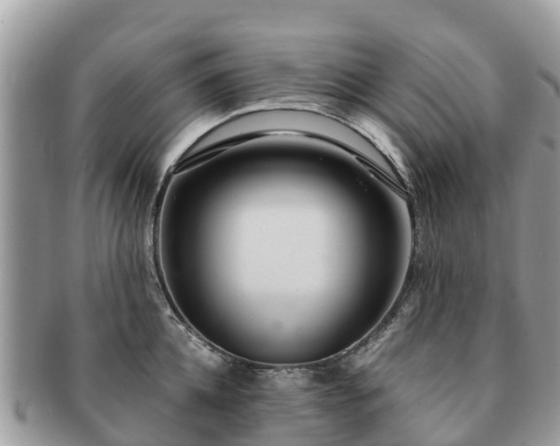 X0000091180952200708161515