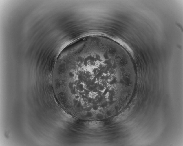 X0000091180953200708161515