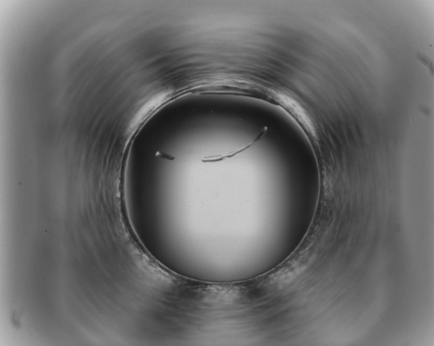 X0000091180954200708161515