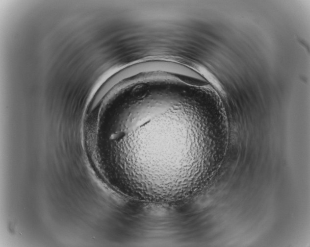 X0000091180955200708161515
