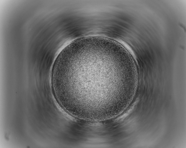 X0000091180957200708161515